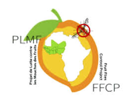 Plmf